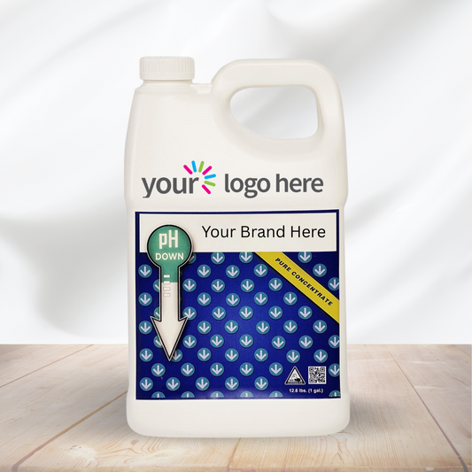 White Label Solutions – Your Brand, Our Expertise